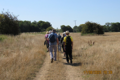 on-the-path