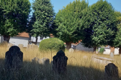 village