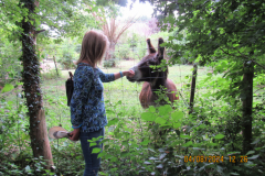 Meeting-a-Donkey