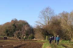 IMG_1041Sutton-scaled-e1575833684477