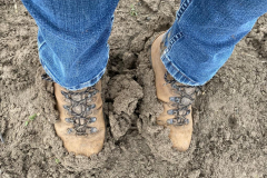 Muddy Boots