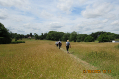over-the-fields