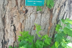 sign