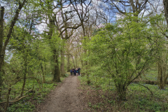 Walkers-in-the-woods