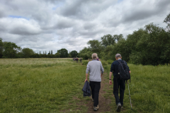 Along-the-path