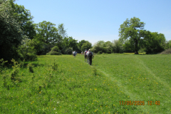 walking-back