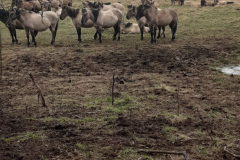 20220213_102259-scaled