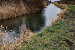 20220213_1129231-scaled