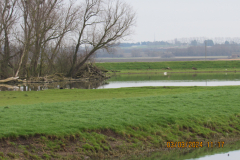 Fenland