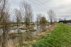 Waterlogged