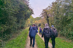woodland-path